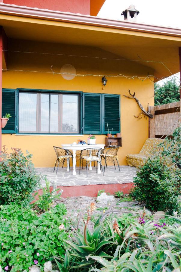 B&B Terra E Paglia Marrùbiu Dış mekan fotoğraf
