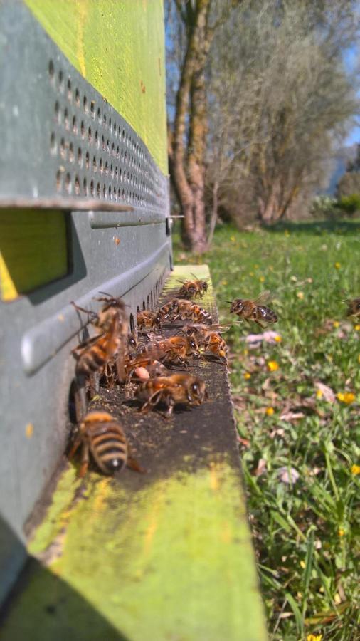 B&B Terra E Paglia Marrùbiu Dış mekan fotoğraf